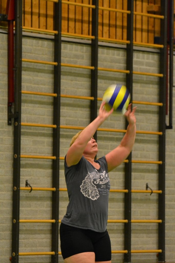 volleybalmeiden training 2013 037